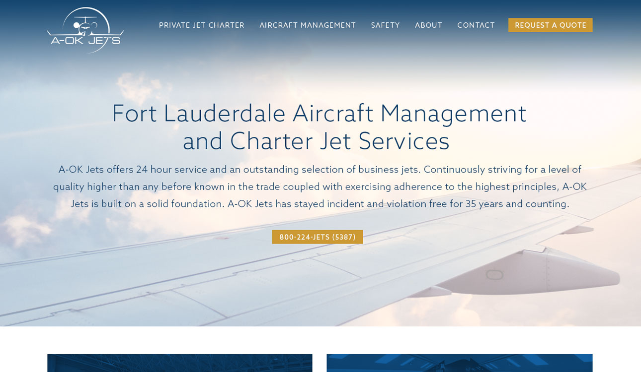 Aviation Website Design