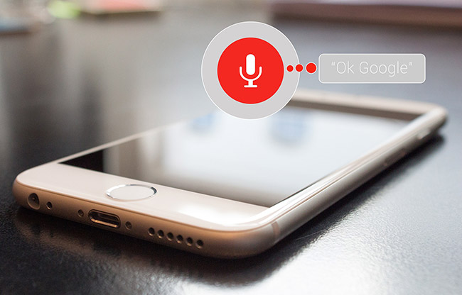 Voice Search